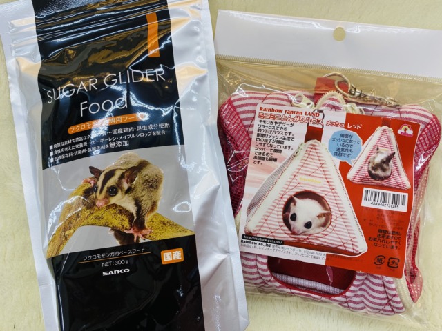 🌱新生活はペットと一緒に🌸〜新生活応援フェア〜🌸 説明画像です