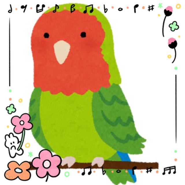 ❤️コザ満開で〜す🤍さくら祭り開催っ❕🌸