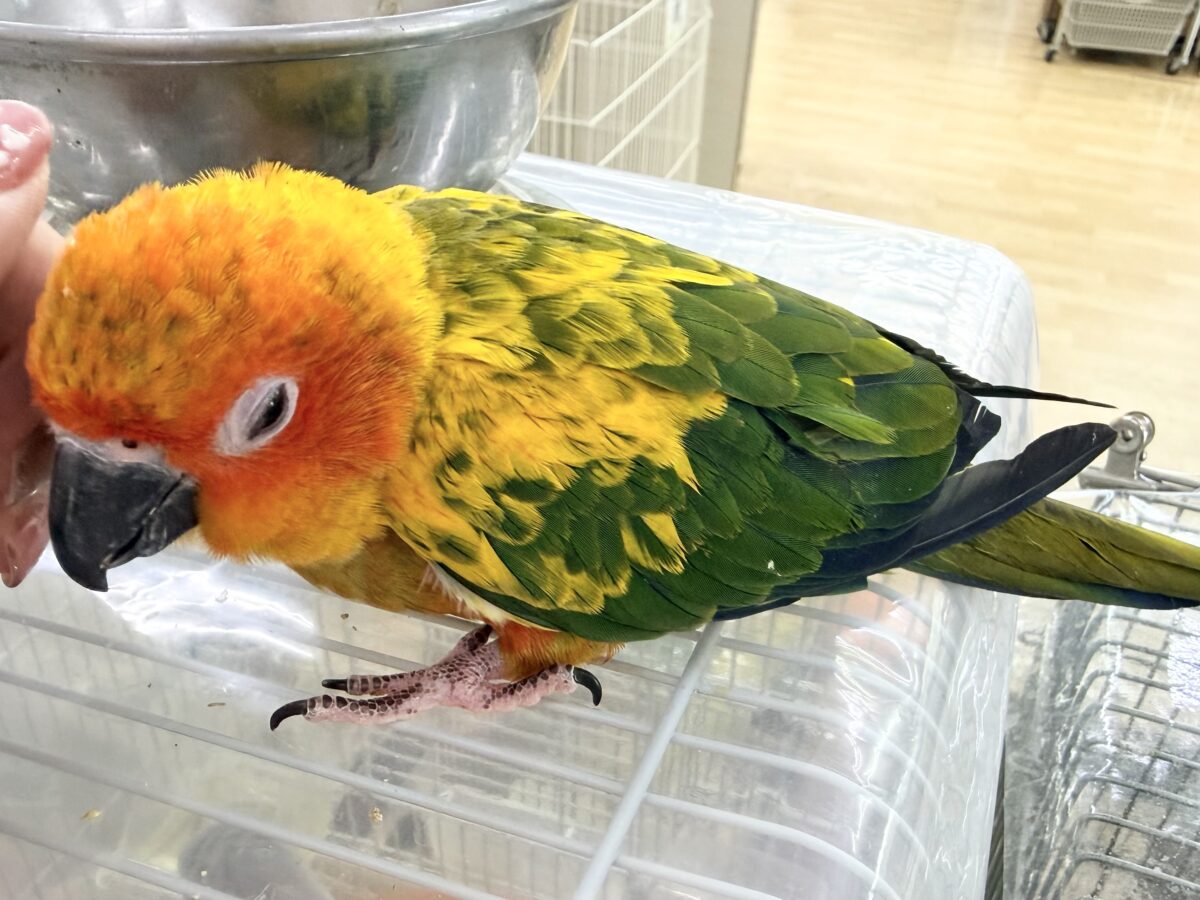 最新画像更新✨久しぶりでテンション上がる⤴︎⤴︎︎💕︎カラフル🌈な