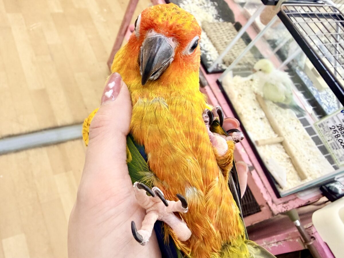 最新画像更新✨久しぶりでテンション上がる⤴︎⤴︎︎💕︎カラフル🌈な