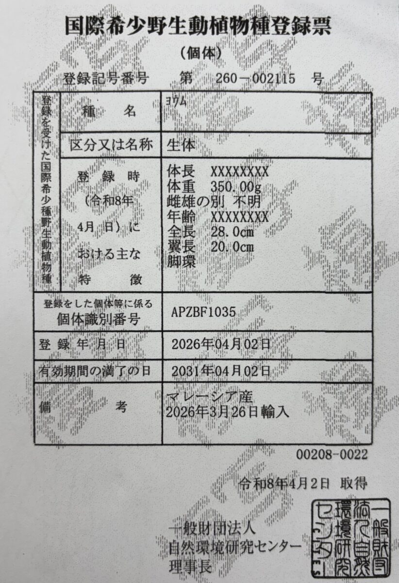 ヨウム
