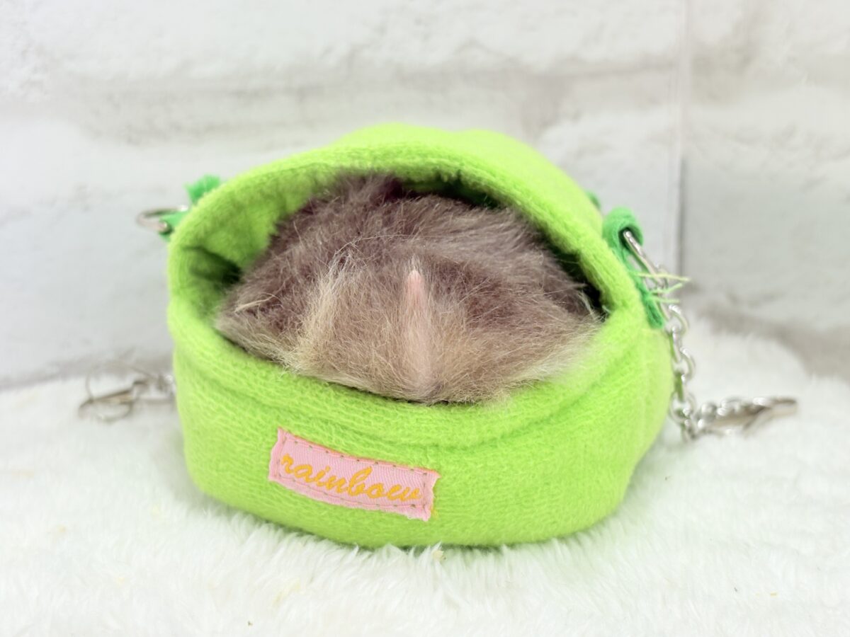 ゴールデンハムスター