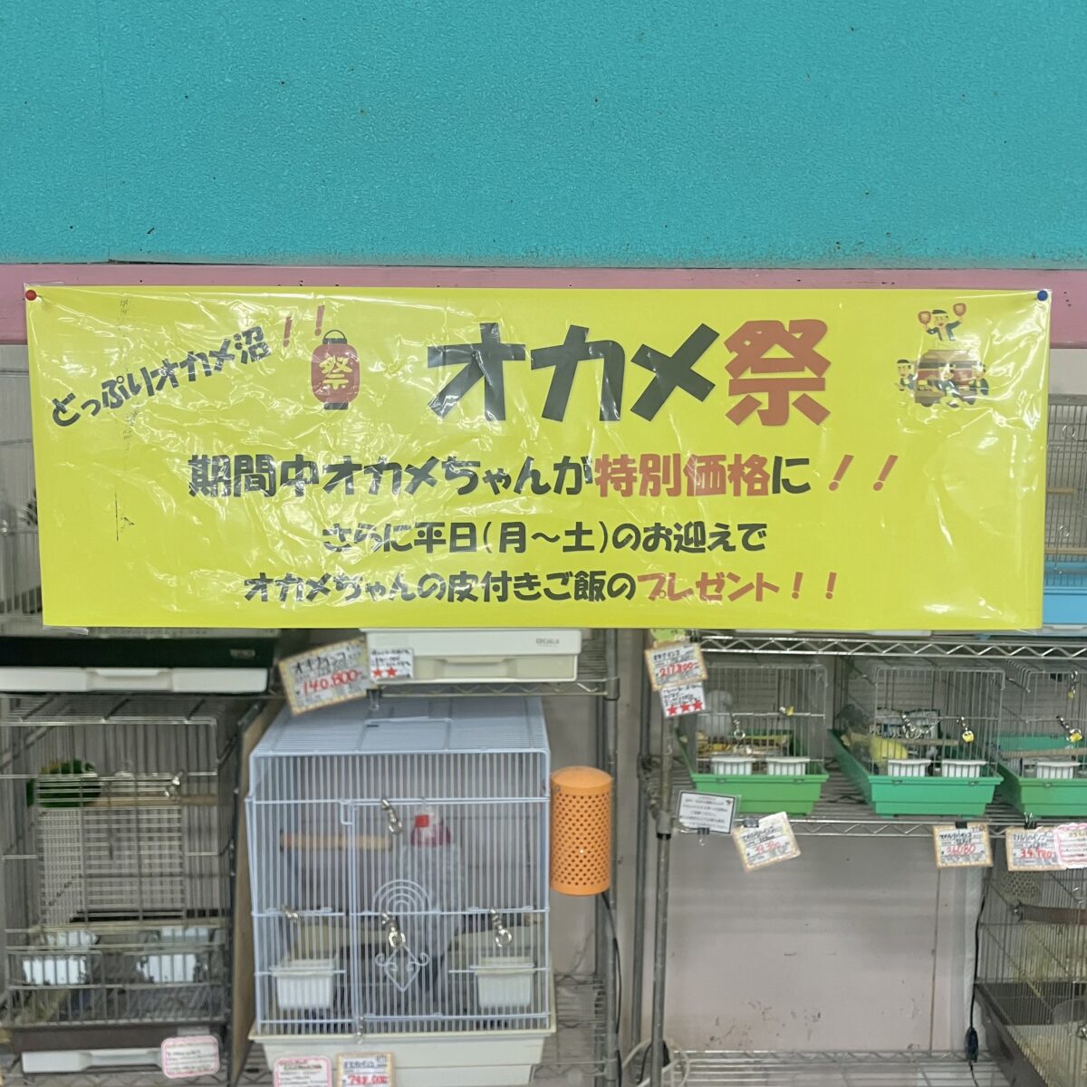 説明画像です