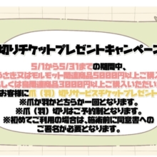🕊️🐰期間限定！爪（羽）切りサービスチケットプレゼントキャンペーン🐰🕊️