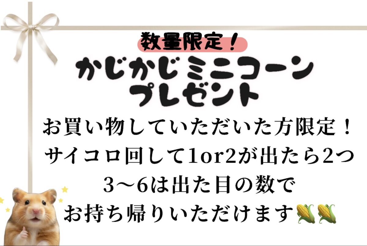説明画像です