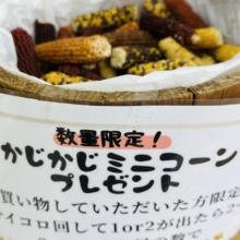 🎲サイコロ振って！コーンをGETしよう！！🌽