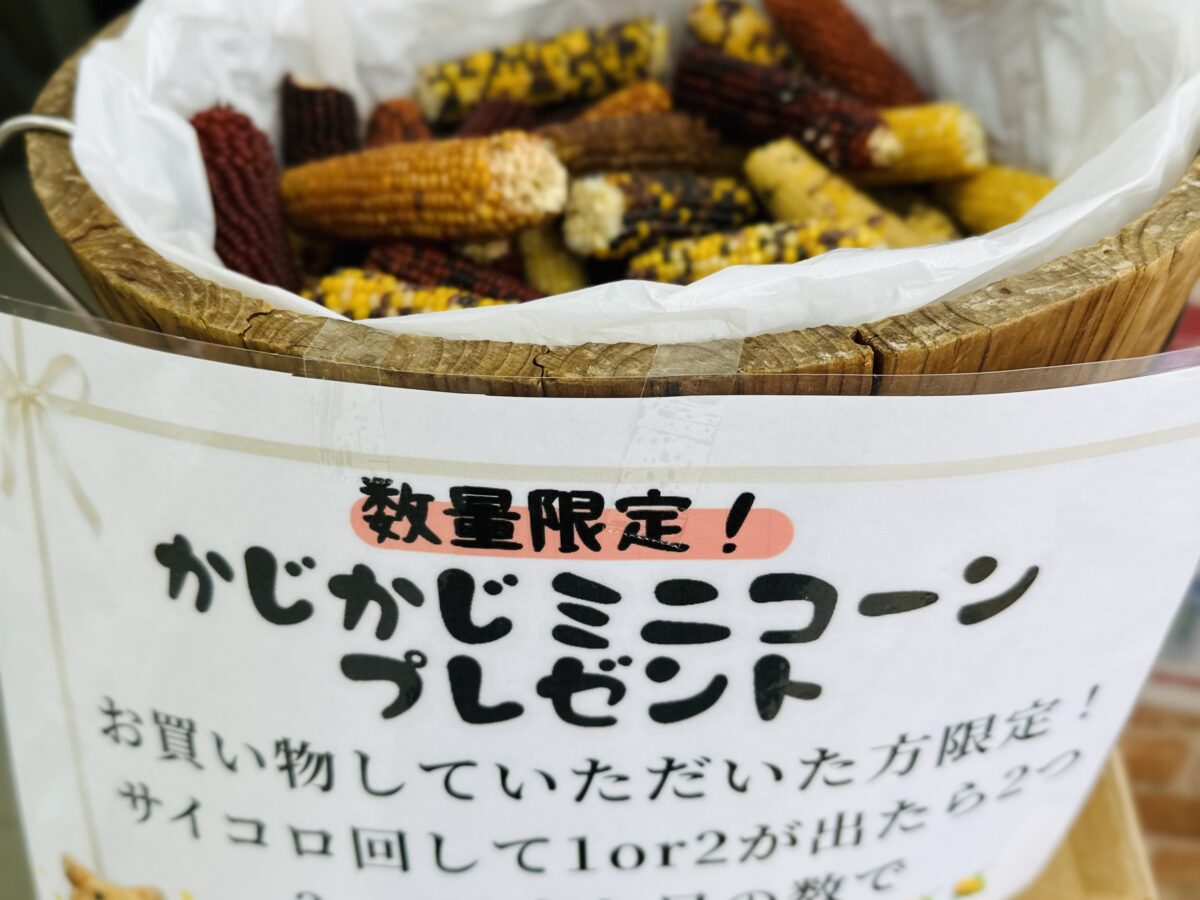 🎲サイコロ振って！コーンをGETしよう！！🌽