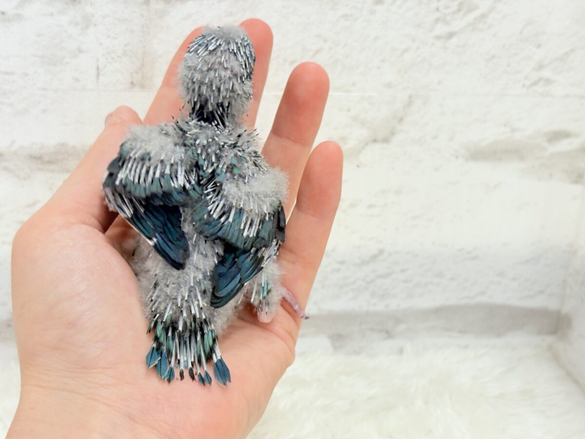サザナミインコ