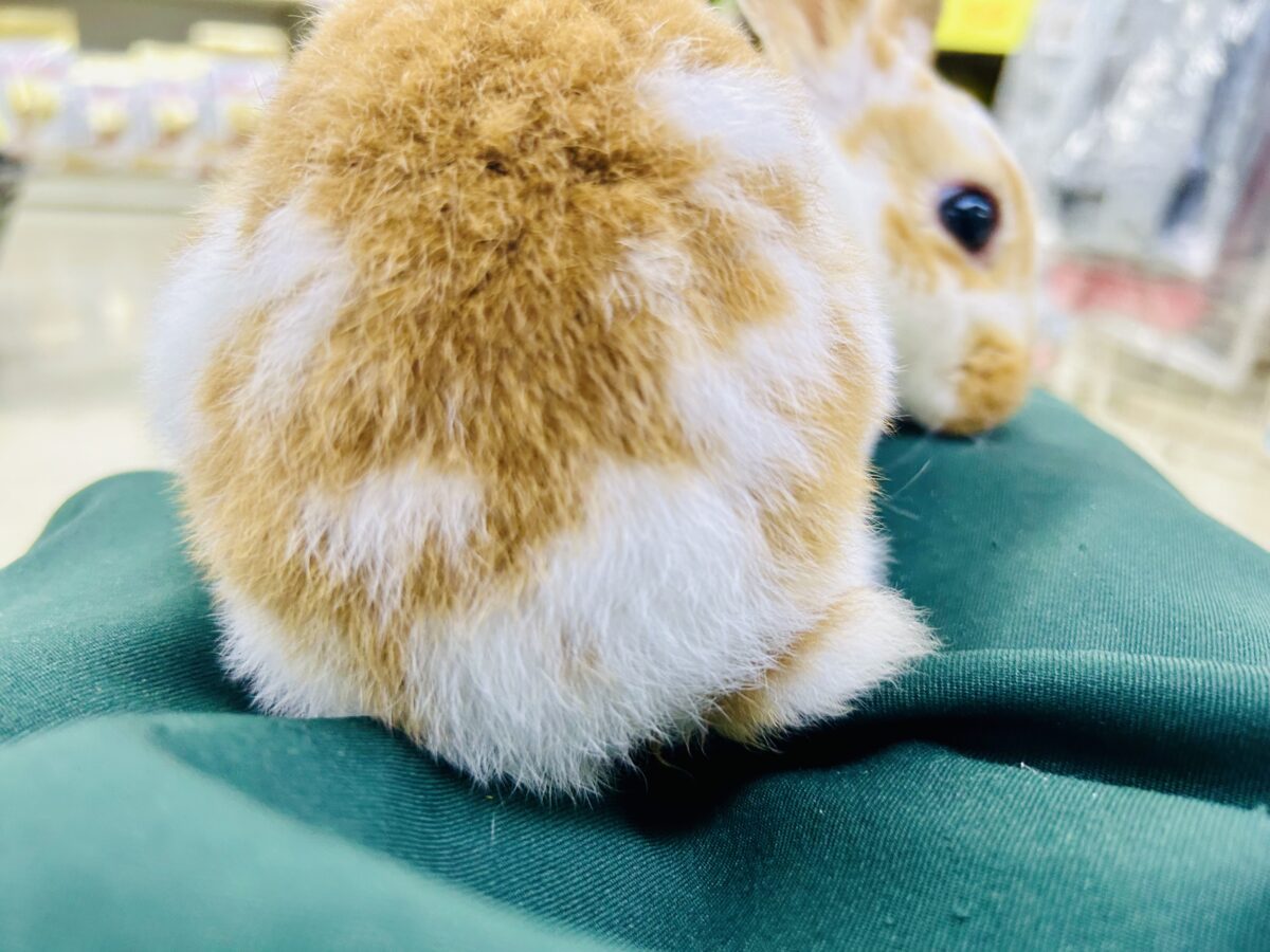 ミニレッキス