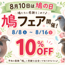 二和店ならでは‼︎8.10の日だよ🕊️鳩フェア開催中！