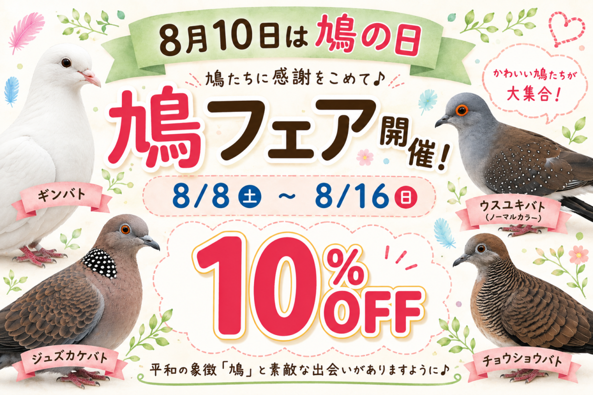 二和店ならでは‼︎8.10の日だよ🕊️鳩フェア開催中！