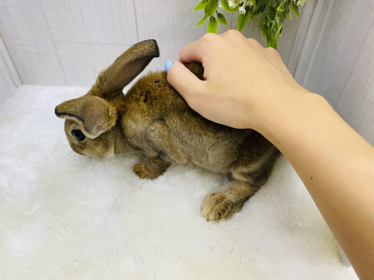 ミニレッキス