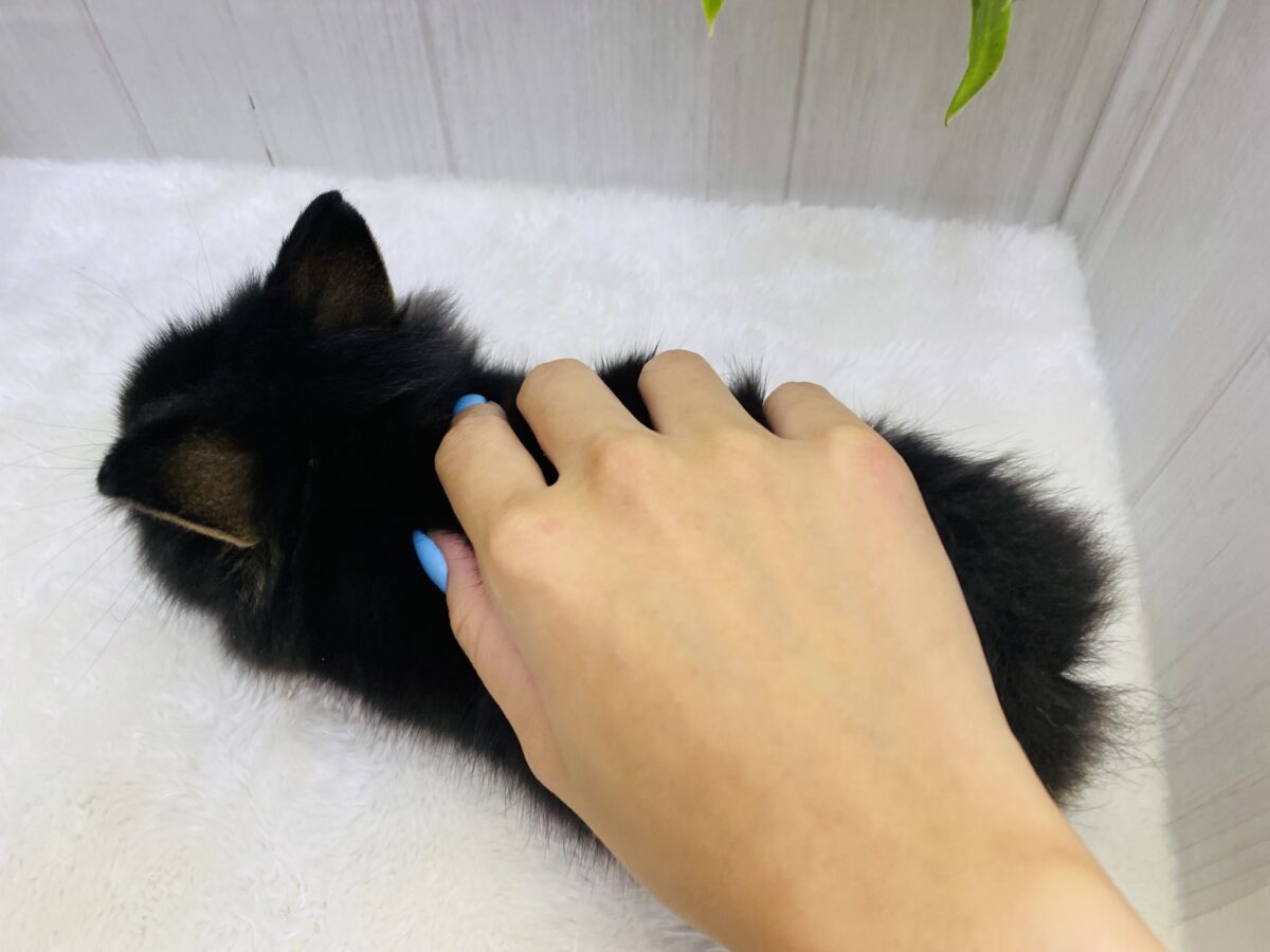 ライオンラビット