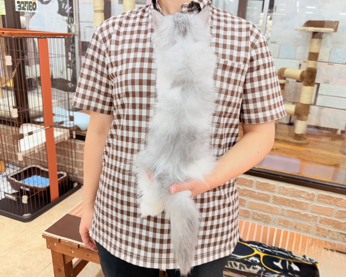ラガマフィン