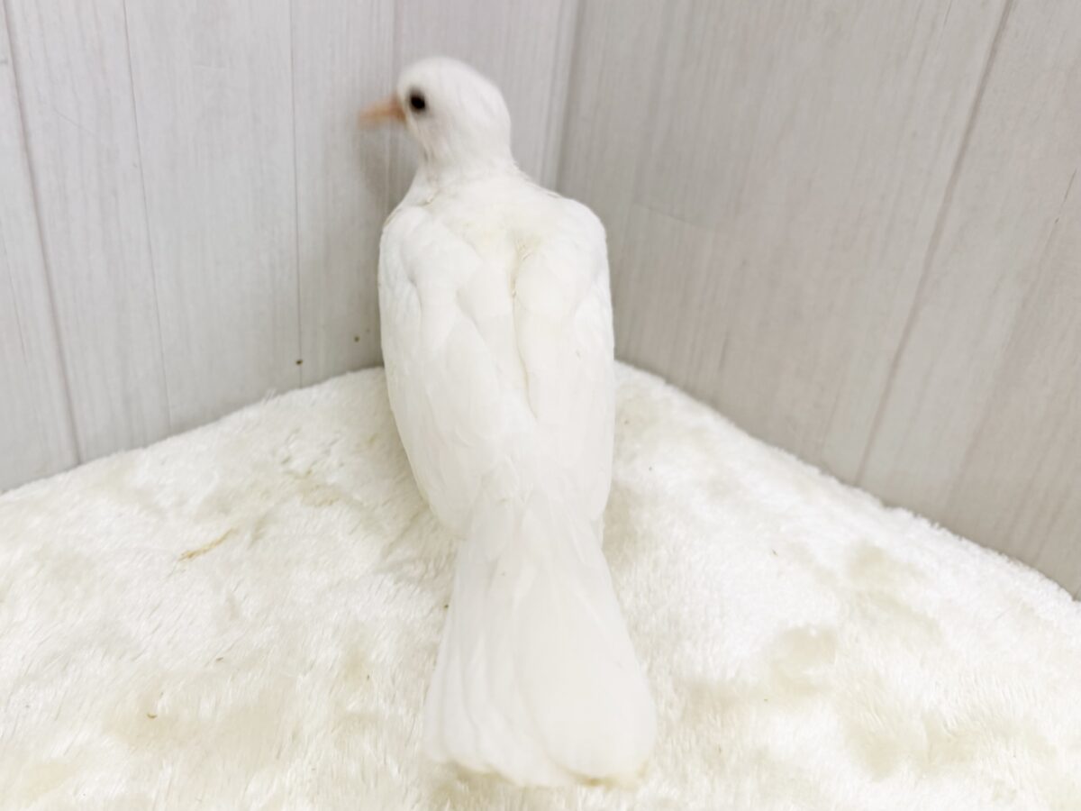 ギンバト