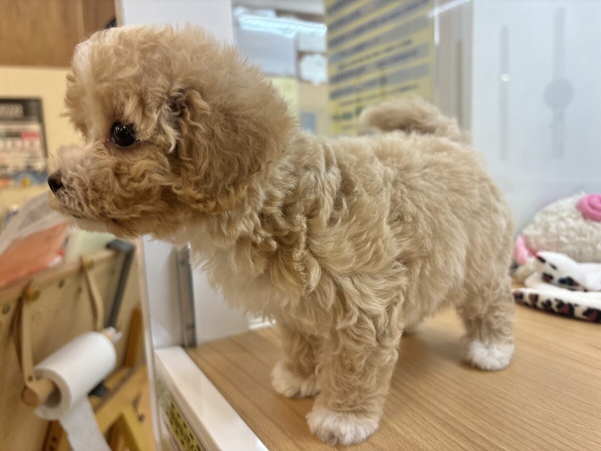 マルプー