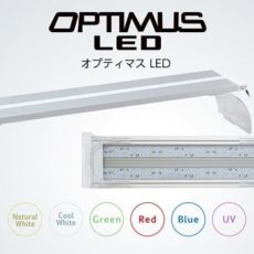 オプティマスＬＥＤフレッシュウォーター（淡水用）４５ｃｍ水槽用 超爆安価格！