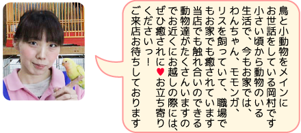 東葛ペット船橋二和店のスタッフ｜岡村のご紹介